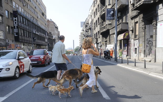 Смештај за псе слабо тражен: Не помажу ни попусти, корона опустела хотеле за псе
